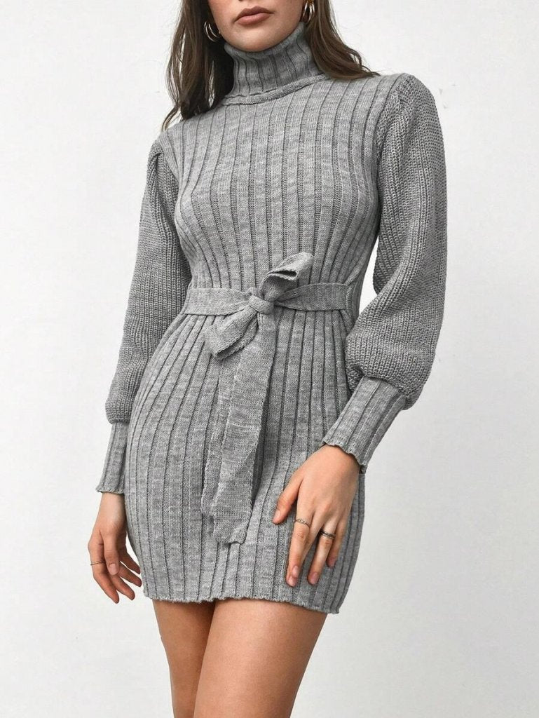 Women's Long Sleeve Turtle Neck Belted Mini Knit Dress