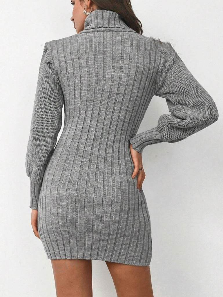 Women's Long Sleeve Turtle Neck Belted Mini Knit Dress