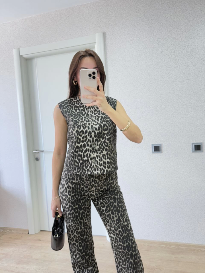 Leopard Print Button-Front Blouse and Pants Two-Piece Set -Leopard