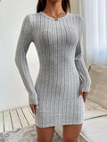 Women's Long Sleeve Crew Neck Brushed Thick Ribbed Mini Dress