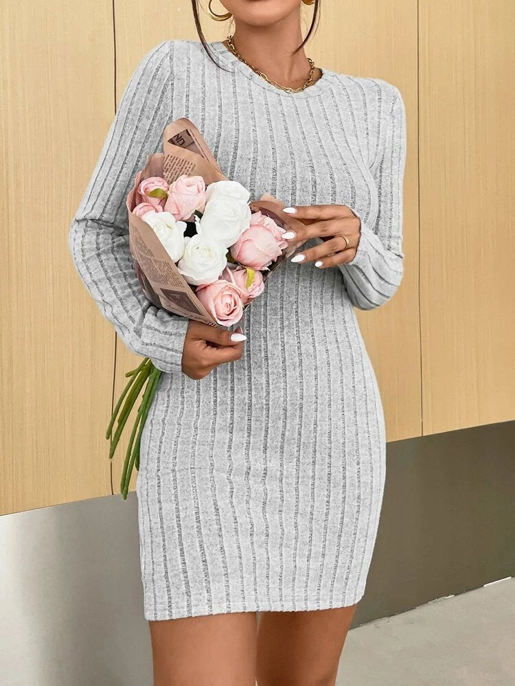 Women's Long Sleeve Crew Neck Brushed Thick Ribbed Mini Dress