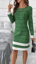 Women's Long Sleeve Round Neck Mini Woven Dress with Hem Stripe Detail